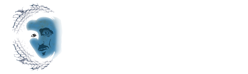 TESLA'S PIGEON  |  Melissa Dunphy